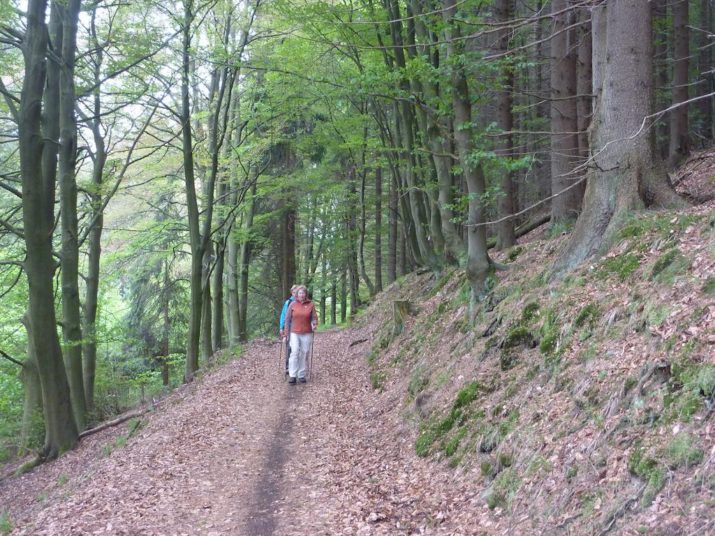 Elpe Apartments Hochsauerland Zewnętrze zdjęcie